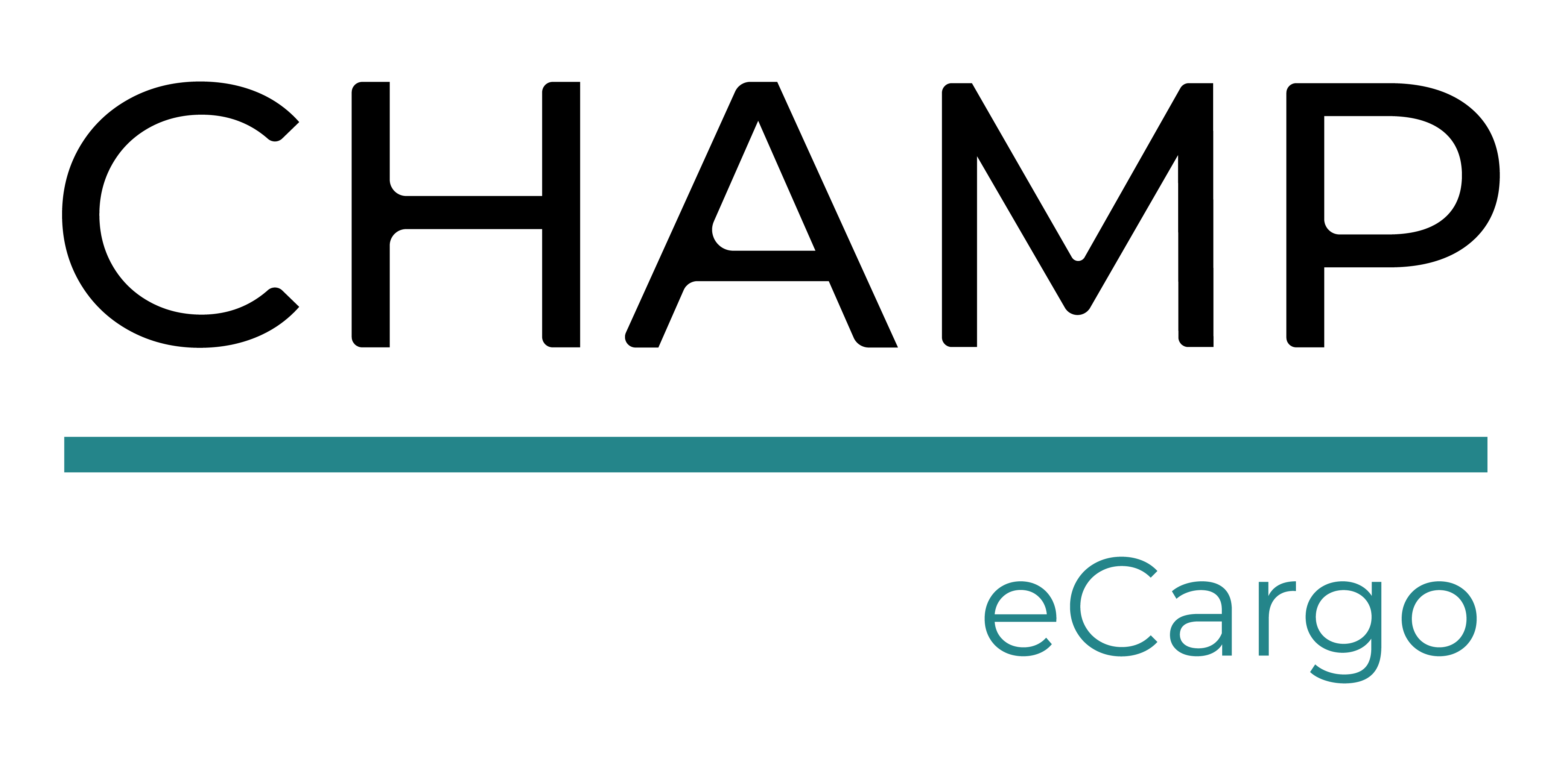 弹珠魔法主题赛道 eCargo 弹珠魔法主题赛道 eCargo